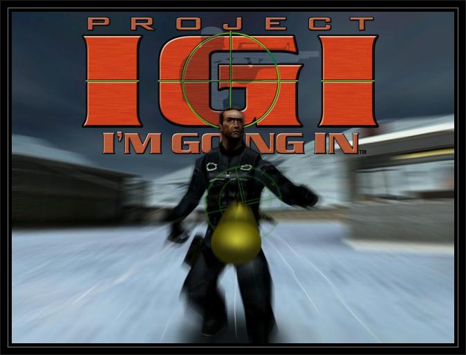 IGI 1 (PC GAME) - PC Download (No Online Multiplayer/No REDEEM* Code) -, NO DVD NO CD