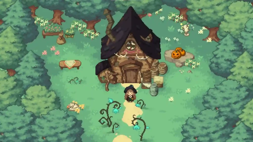 Little Witch in the Woods PC Game Free Download Highly Compressed