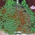 Tingus Goose PC Game Free Download Highly Compressed