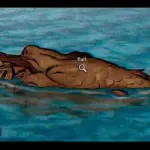 PARANORMASIGHT The Mermaid's Curse